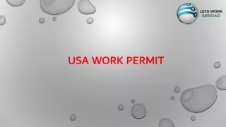 usa work permit agency in hyderabad