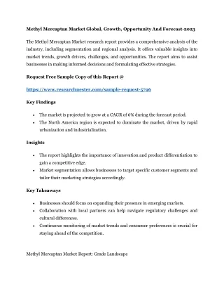 Methyl Mercaptan Market Global, Growth, Opportunity And Forecast-2023