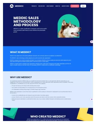 Mastering Meddic Sales Qualification and Frameworks