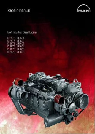 MAN Industrial Diesel Engine D2876 LUE602 Service Repair Manual
