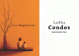 Lodha Condos Bund Garden Brochure