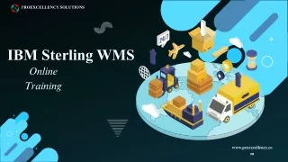 Unleash the Potential of IBM Sterling WMS with Our Comprehensive Online Training