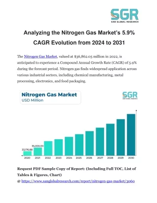 Analyzing the Nitrogen Gas Market’s 5.9% CAGR Evolution from 2024 to 2031