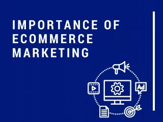 Ecommerce Marketing