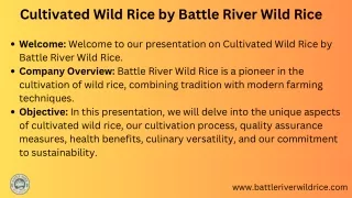 Cultivated Wild Rice