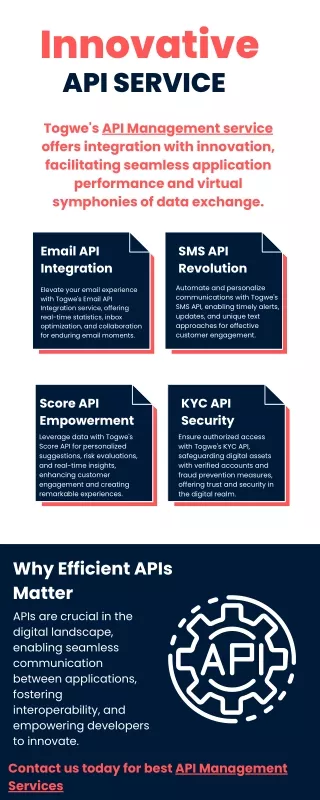 API Management Infographic