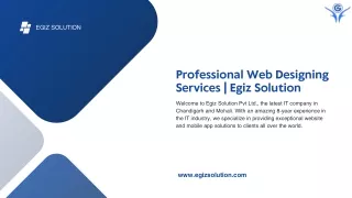 Professional Web Designing Services | Egiz Solution