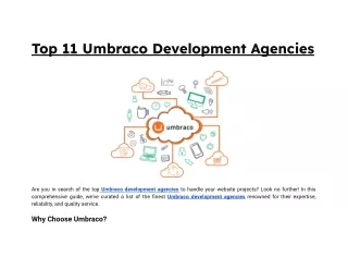 Top 11 Umbraco Development Agencies