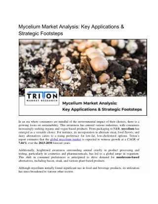 Mycelium Market Analysis: Key Applications & Strategic Footsteps