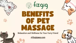 Benefits of Pet Massage : Rubb the Right Way | Fizgig App