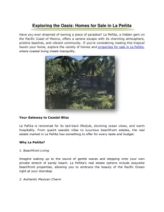 Exploring the Oasis: Homes for Sale in La Peñita