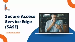 SECURE ACCESS SERVICE EDGE (SASE)