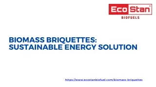 Biomass Briquettes Sustainable Energy Solution