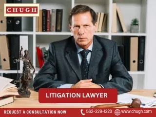 Litigation Lawyer | Chugh LLP