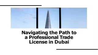Professional Trade License in Dubai (2)