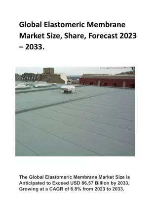 Global Elastomeric Membrane Market