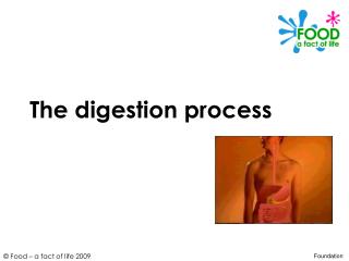 The digestion process