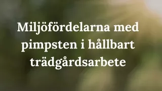 Miljöfördelarna med pimpsten i hållbart trädgårdsarbete