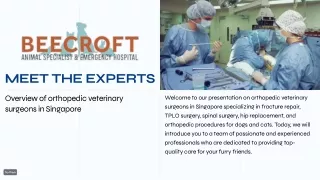 TPLO, Ear, Interventional Radiology, Fracture Repair & Orthopedics procedures for Dogs & Cats