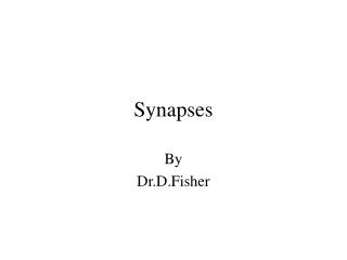 Synapses