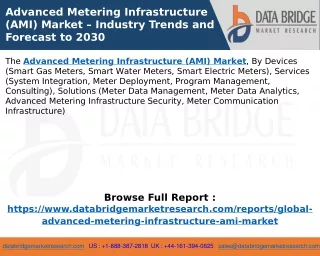 Advanced Metering Infrastructure (AMI) Market