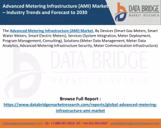 Advanced Metering Infrastructure (AMI) Market