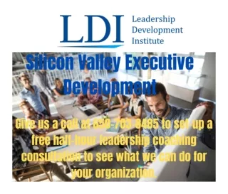 Silicon Valley Executive Development (1)