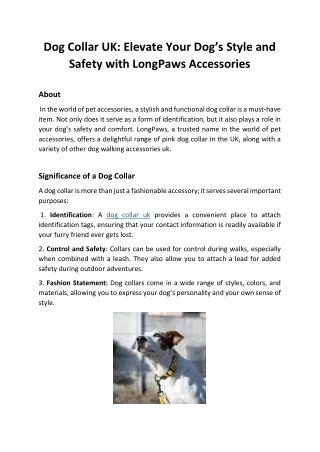Dog Collar UK Elevate Your Dog’s Style and Safety with LongPaws Accessories