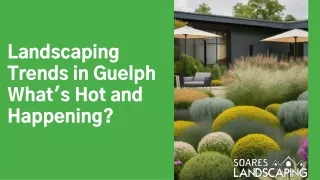 Landscaping Trends in Guelph What's Hot and Happening