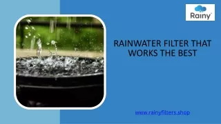 Rainwater filter that works the best