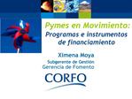 Pymes en Movimiento: Programas e instrumentos de financiamiento