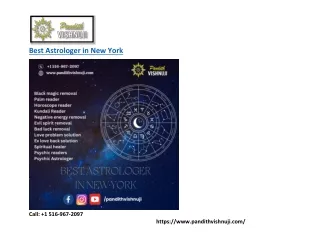 Best Astrologer in New York USA