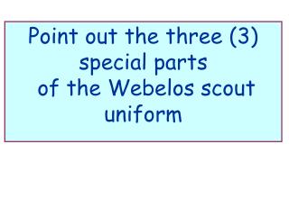 Point out the three (3) special parts of the Webelos scout uniform