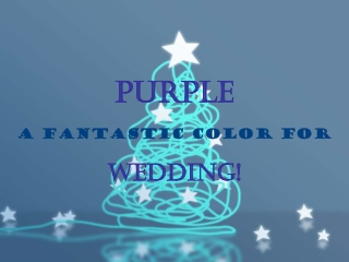 a romantic purple wedding