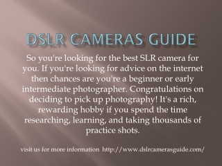 Dslr cameras guide