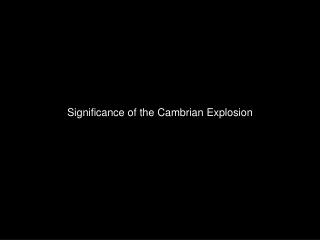 Significance of the Cambrian Explosion