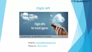 Flight API