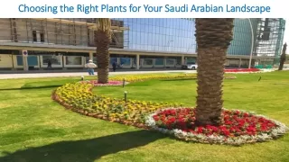 Choosing the Right Plants for Your Saudi Arabian Landscape