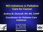 Andrea M. Denicoff, RN, MS, CANP Coordinator for Palliative Care Initiatives