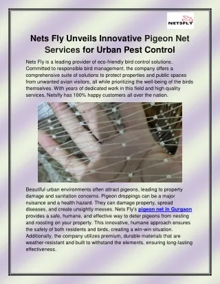 Pigeon net in Noida