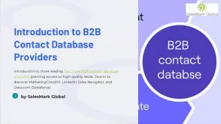 Top Three B2B Contact Database Providers to Generate Qualified Leads