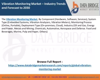 Vibration Monitoring Market