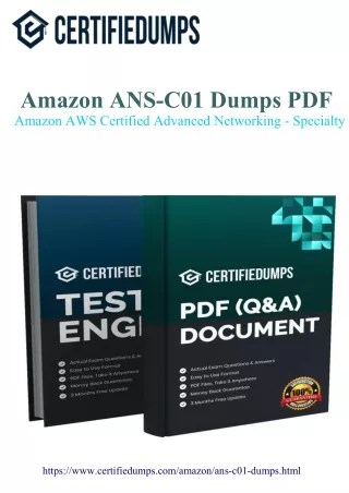 "Master the Amazon ANS-C01 Exam with this Simple Guide to PDF Dumps"