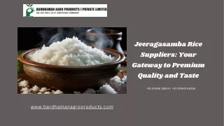 Jeeragasamba Rice Suppliers Your Gateway to Premium Quality and Taste