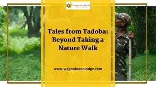 Tales from Tadoba Beyond Taking a Nature Walk