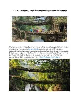 Living Root Bridges of Meghalaya: Engineering Wonders in the Jungle