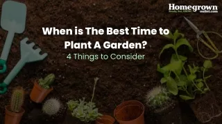 When is The Best Time to Plant A Garden?