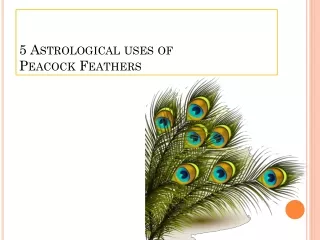 5 Astrological uses of Peacock Feathers