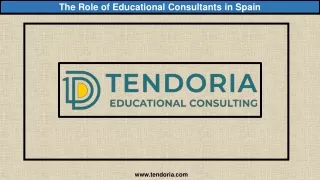 The Role of Educational Consultants in Spain