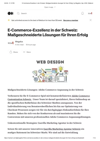 E-Commerce-Exzellenz in der Schweiz: Maßgeschneiderte Lösungen für Ihren Erfolg